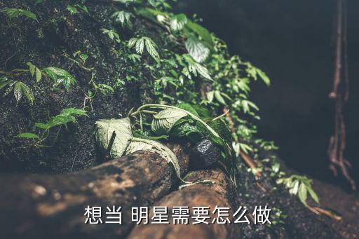 想当 明星需要怎么做