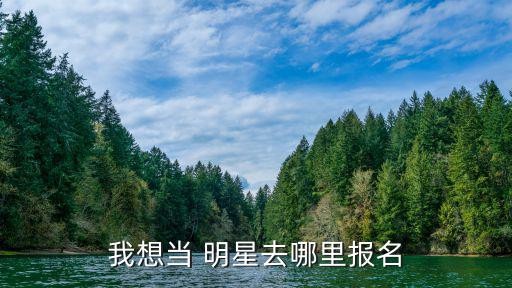 我想当明星,想成为明星先把文化课学好再深造武装自己的技能