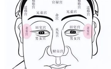 面相夫妻宫看另一半 夫妻宫看姻缘婚姻