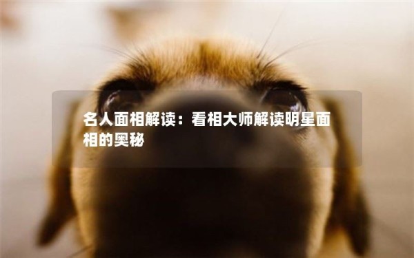 名人面相解读：看相大师解读明星面相的奥秘