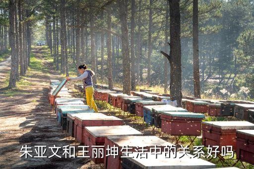 朱亚文和王丽坤生活中的关系好吗