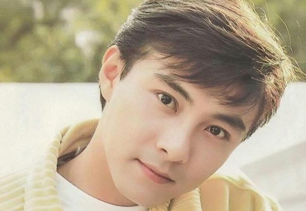 被家人坑惨的明星：梅艳芳母亲贪得无厌，张卫健有不争气的弟弟