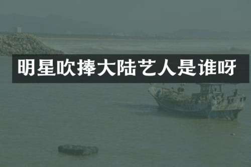 明星吹捧大陆艺人是谁呀