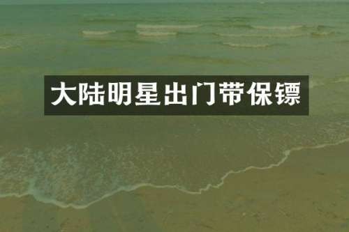 大陆明星出门带保镖