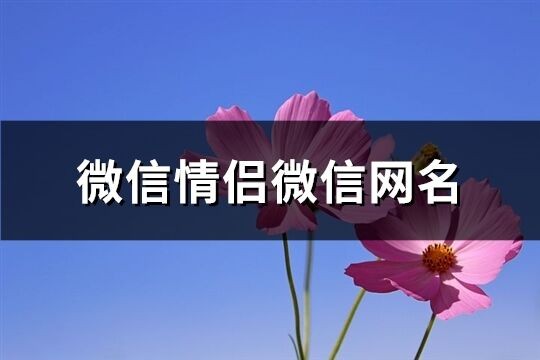 微信情侣微信网名(共691个)