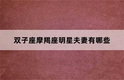 双子座摩羯座明星夫妻有哪些
