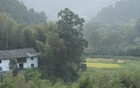 五十多岁的70后，处处是离别