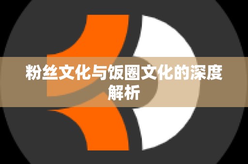 粉丝文化与饭圈文化的深度解析