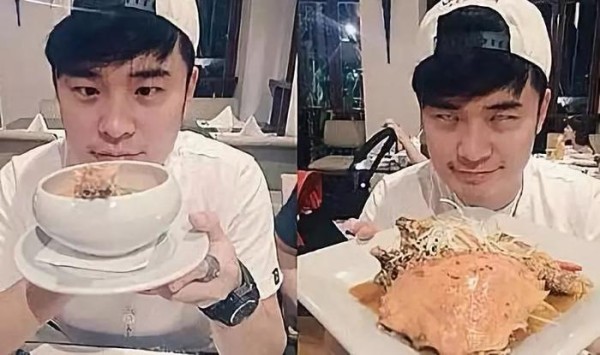 演艺圈五位爱宠明星：爱狗狂魔孙俪只排第三，第一名当之无愧！