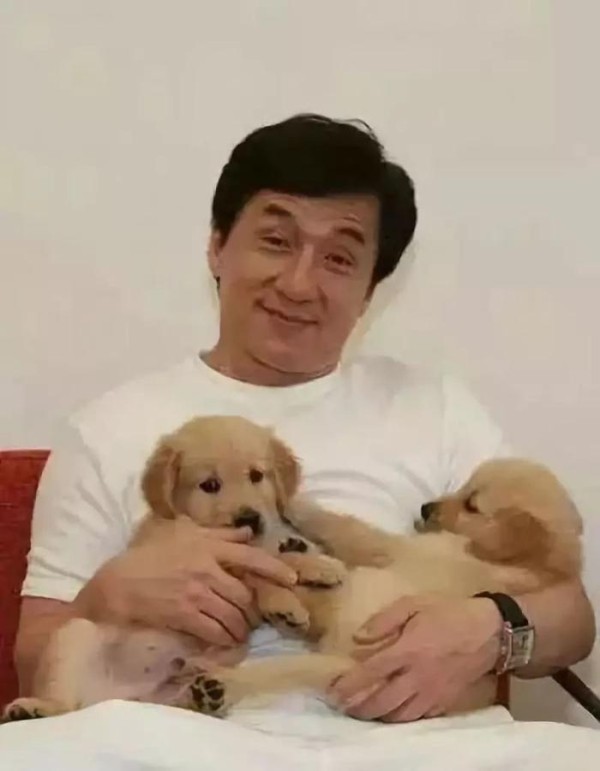 演艺圈五位爱宠明星：爱狗狂魔孙俪只排第三，第一名当之无愧！