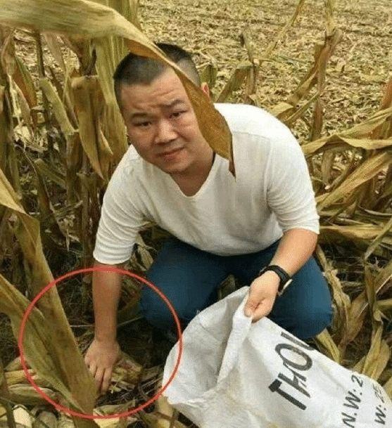明星回老家后的样子,赵又廷和高圆圆接地气,唯独他被人扔砖头