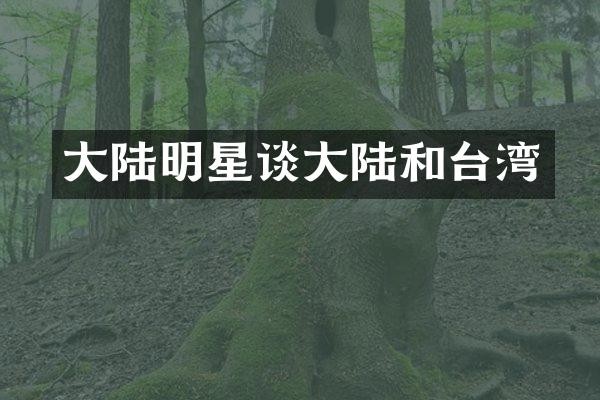 大陆明星谈大陆和台湾