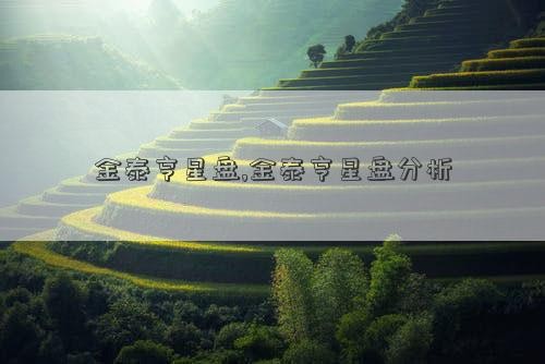 金泰亨星盘,金泰亨星盘分析