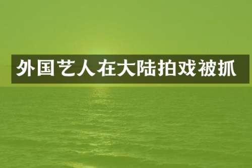 外国艺人在大陆拍戏被抓