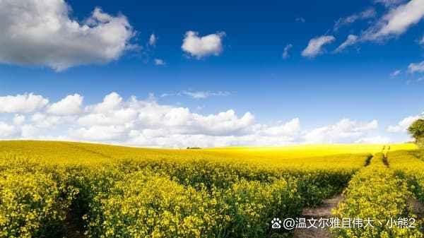 夫妻感情越来越淡了怎么办？5个实用技巧重燃爱火！