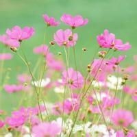 和异性聊天老公生气了怎么办
