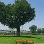 铃铛说娱乐