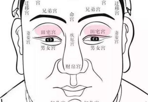 你的田宅宫宽广,同时还肌肉丰厚吗?