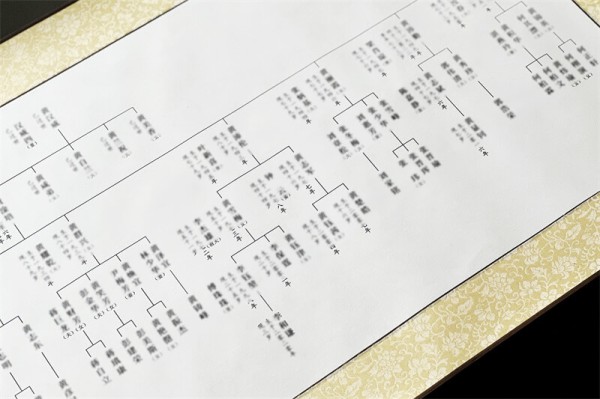 家谱世系图制作