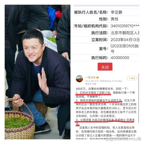 李亚鹏被执行4000万，是不是要请教贾跃亭，如何逃债？