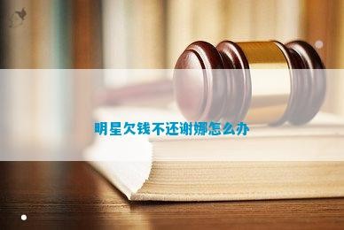 明星欠钱不还谢娜怎么办