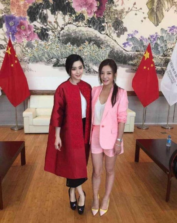 两人几乎同时出道，如今赵薇夫妇出事，网友：范冰冰比她更有操守