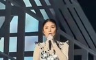 陈慧琳<a target=