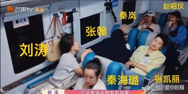 花少一班能融入北斗七行的只有刘涛了 赵昭仪在挨打的边缘蹦迪