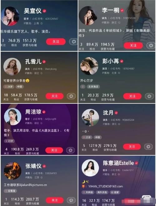 哪个明星玩小红书最多