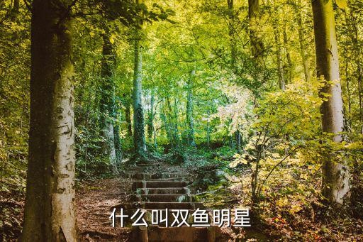 什么叫双鱼明星