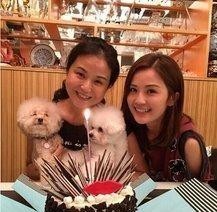盘点娱乐圈明星母女, 韩雪和妈妈姐妹花, 最后两对“复制粘贴”?