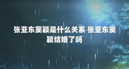 张亚东窦颖是什么关系 张亚东窦颖结婚了吗