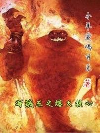 海贼王之熔火核心
