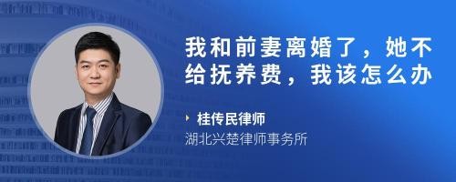 我和前妻离婚了，她不给抚养费，我该怎么办