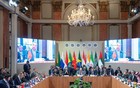 金砖11国将形成三大派系，印度与非洲双双发力搅局。