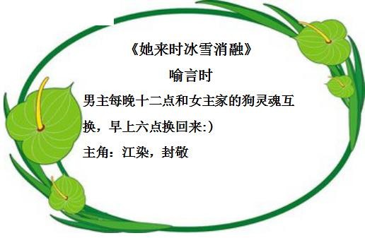 推荐几本男主或女主是明星的小说，又甜又撩