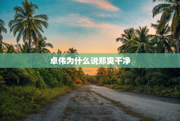 卓伟为什么说郑爽干净 第1张