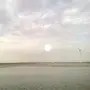 爱陆游的小龙