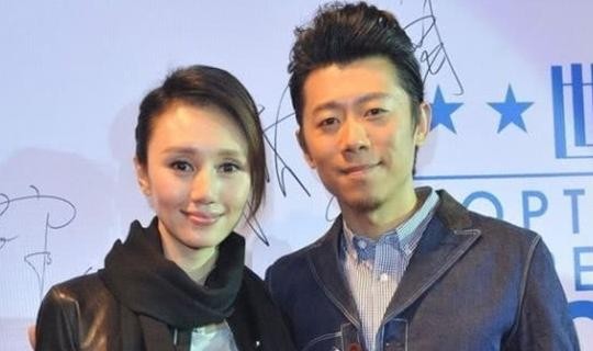娱乐圈中的明星夫妻，中国明星夫妻(明星界的夫妻)