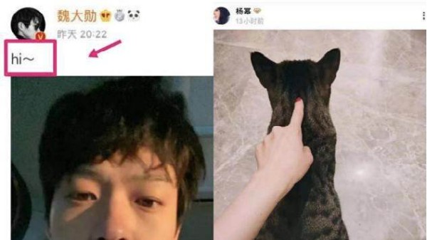 杨幂和魏大勋是炒作吗？为什么这么多人都反对魏大勋杨幂的恋情？