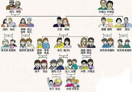 怎样填写”家庭主要成员”和”主要社会关系”个人基本情况如何写