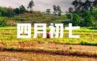明日四月初七真的有那么可怕？揭秘你不知道的真相！