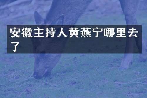 安徽主持人黄燕宁哪里去了