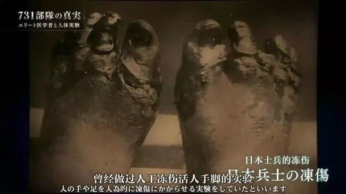 《厨子戏子痞子》中和厨子谈判的日本女军官与厨子是什么关系她是卧底吗