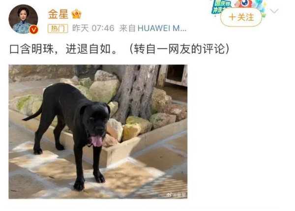 董明珠闻之色变！金星毒舌回击惊呆全场！