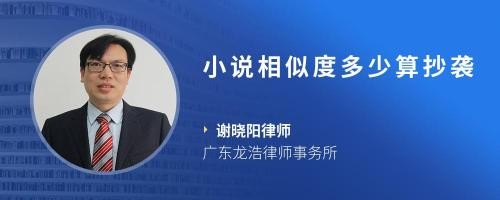 小说相似度多少算抄袭
