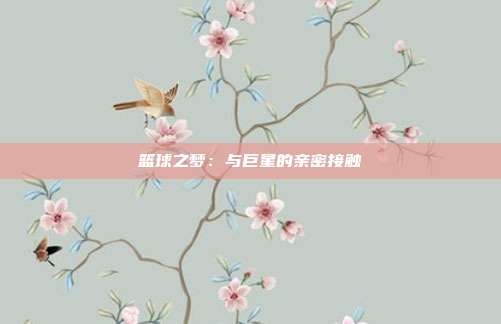 篮球之梦:与巨星的亲密接触