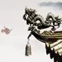 莫说娱乐