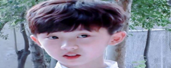 马嘉祺是双胞胎吗 马嘉祺高考成绩