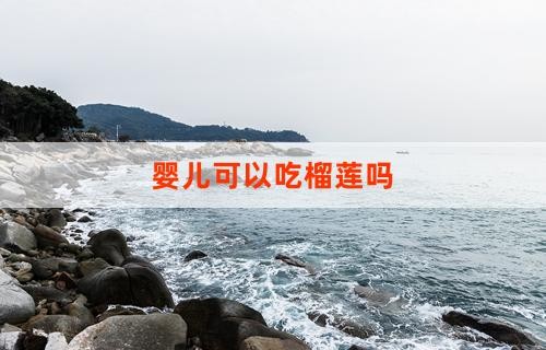 婴儿可以吃榴莲吗